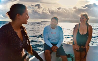 How Do You to Stay Comfortable on the Boat to your Shark Diving?