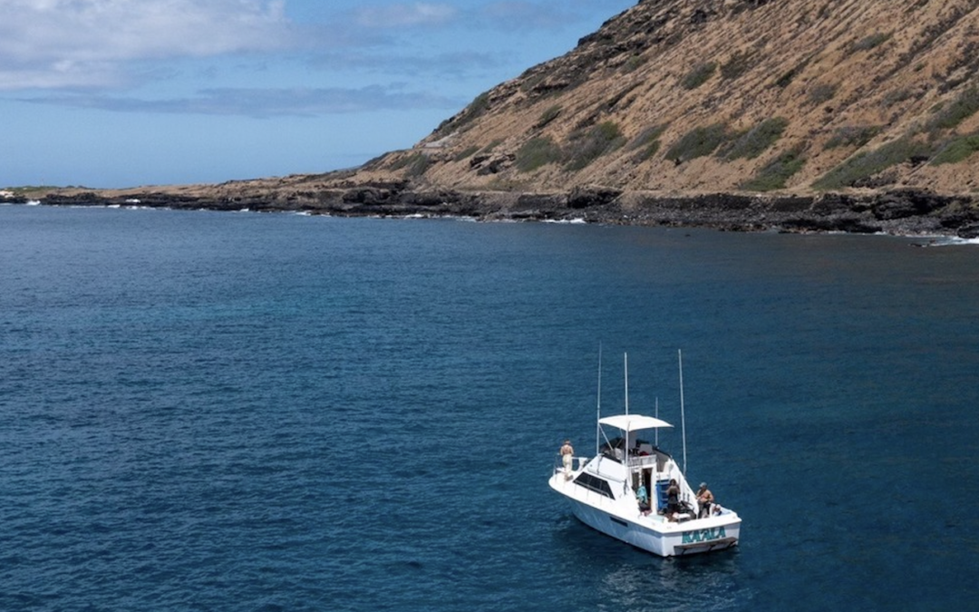 A white boat on deep blue ocean near a rocky coastline under a bright sky.