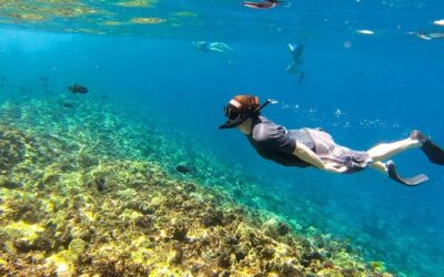 Beyond the Reef: Adventure Meets Ocean Conservation