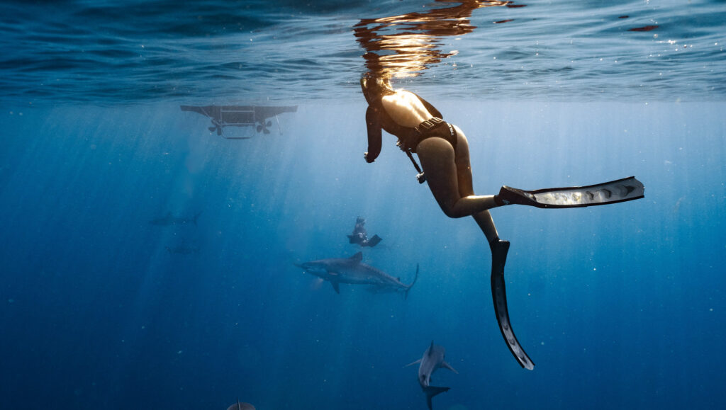 Girl in the deep blue sea with several sharks across from him