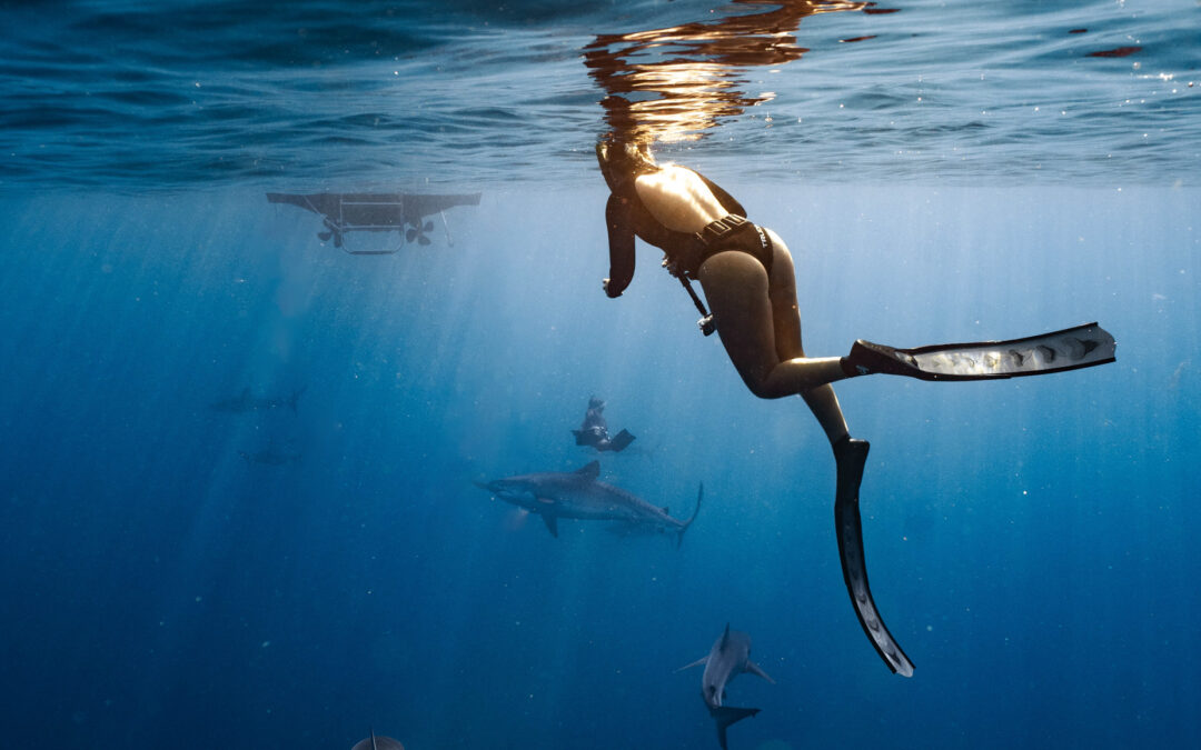 Girl in the deep blue sea with several sharks across from him