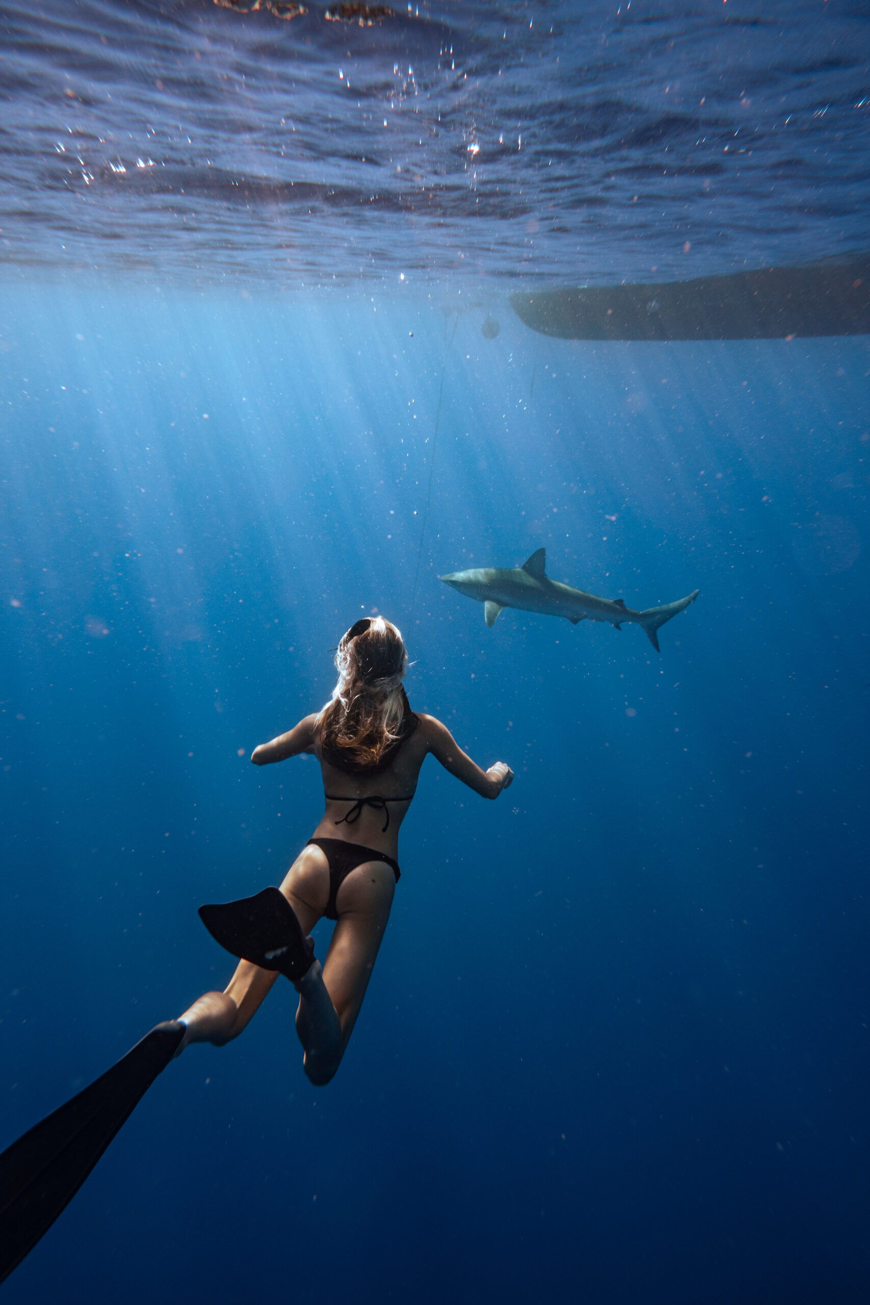 Girl diver in the ocean watching a shark in the deep blue