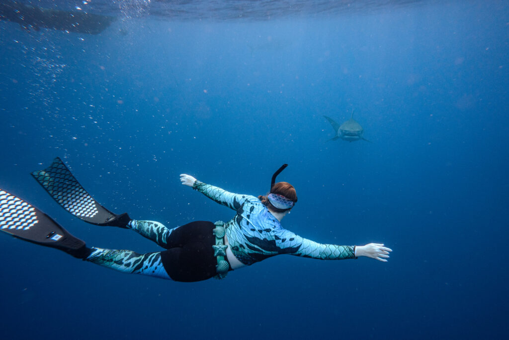 Person in swimsuit, mask, and fins
snorkeling underwater while facing a shark that is swimming nearby in clear blue water.