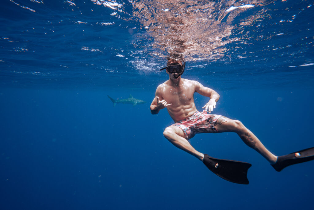 Person in swimsuit, mask, and fins
snorkeling underwater while a shark swims by in the distance in clear blue water.