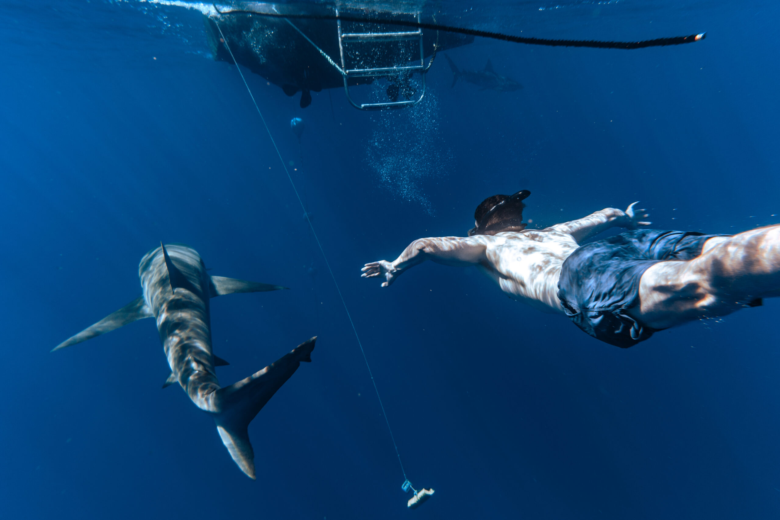 man swimming with a shark and a boat floating across from him