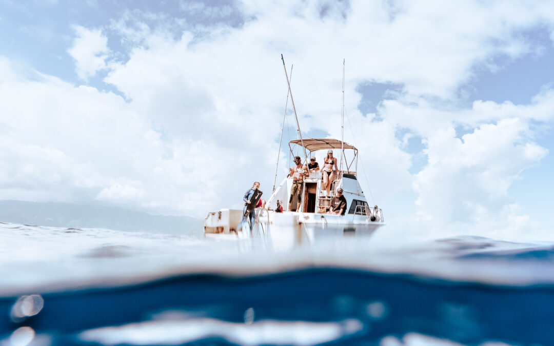 People on a boat preparing to go shark diving. A shark is in the water beneath them.
